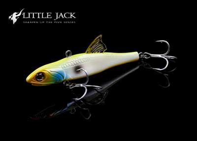 Little Jack Forma Adict 