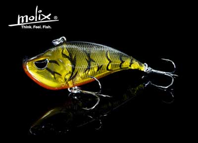 Molix Lipless Crank