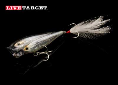 Live Target Glass Minnow Capucette