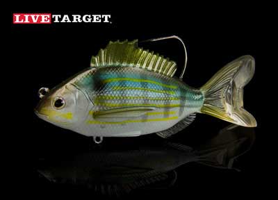 Live Target Swimbait 4