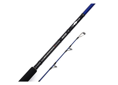 Savage Gear SGS6 Shore Jigging 3.05 MT 30-100G