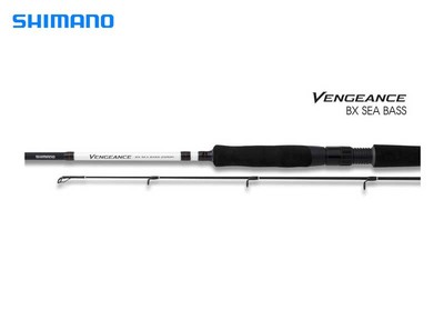 Shimano Vengeance CX Spin Sea Bass 