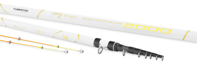 Tubertini F1 2000