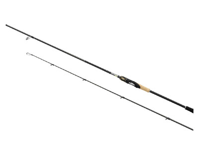 Shimano Sustain FE Spinning