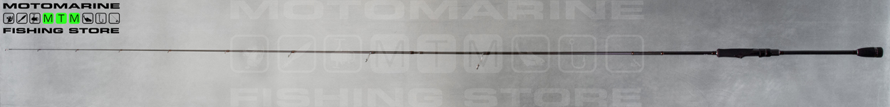 Tailwalk Salty Shape L-Eging