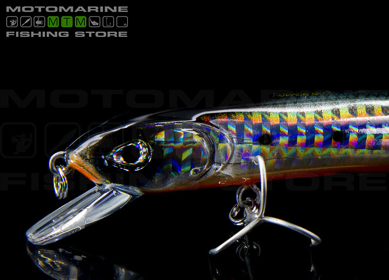 Molix Audace 55 Suspending Image