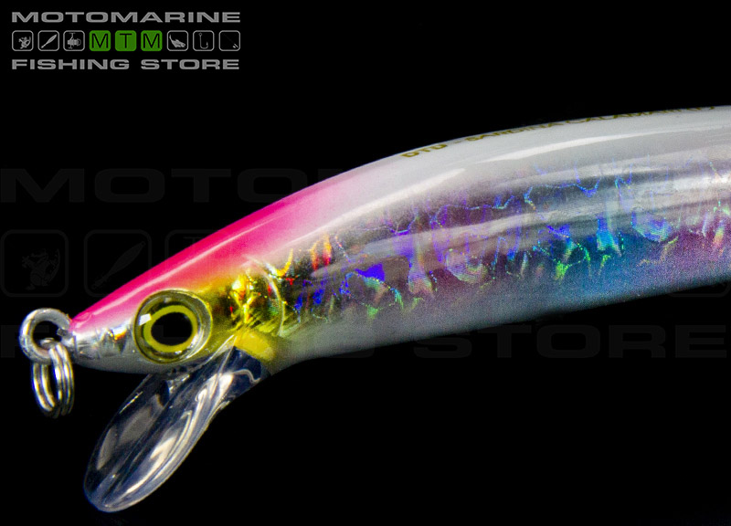 DTD Sardina Calamari 13 Image