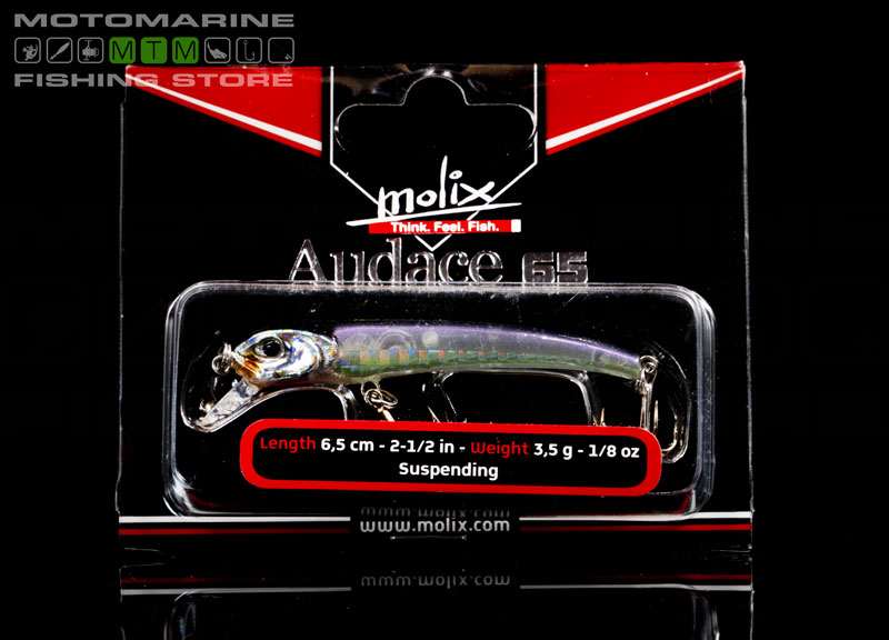 Molix Audace 130 Suspending Image