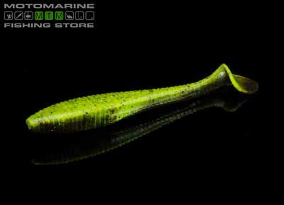 Evergreen Head Shaker 5