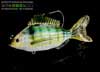 Live Target Swimbait 4- PINFISH ORPHIE SIGR