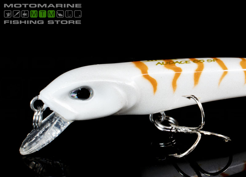 Molix Audace 55 Suspending Image