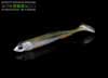 Molix Rt Shad 2.8-173 - GARDON