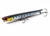 Duo Bay Ruf Manic Fish 99-GPB0054 Genkai Sardine