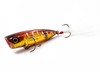 Shimano Bantam World Pop Flash Boost-Kyorin TG