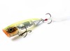 Shimano Bantam World Pop Flash Boost-Kyorin CT