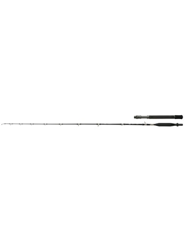 Shimano Tyrnos B Trolling Lite Image