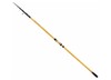 Shimano Beastmaster FX Surf Tele-170