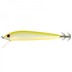 Seika Dragon Squid-TS13